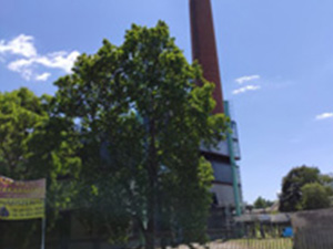 Szekszárd, Lőtéri vízbázis kármentesítése